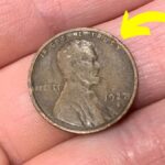 The Lincoln Wheat Penny Valued At $550K